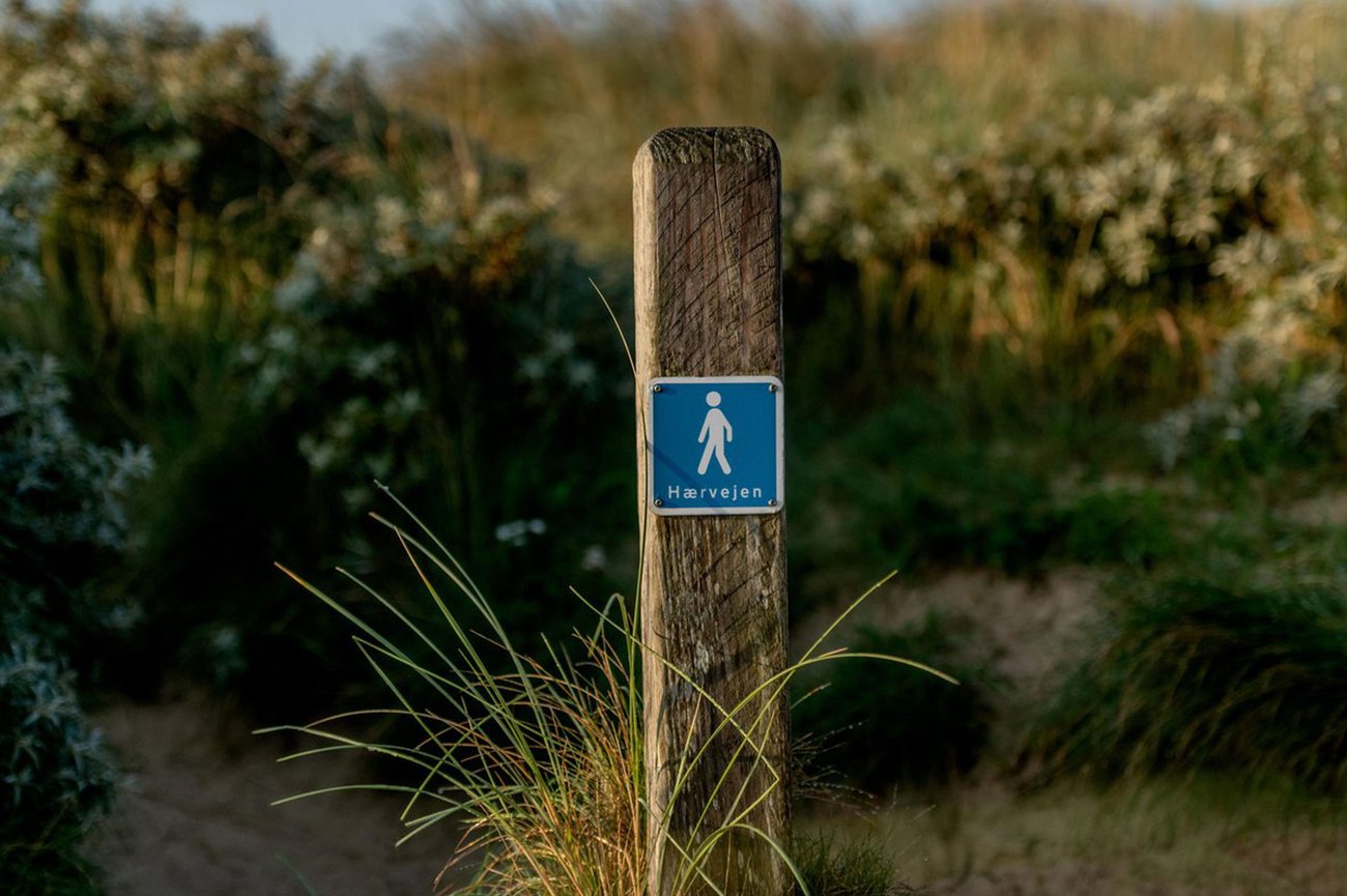 Nu finns 11 nya Hærvejspärlor 